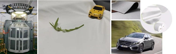 Weft Knitting Fabric for Auto Leather